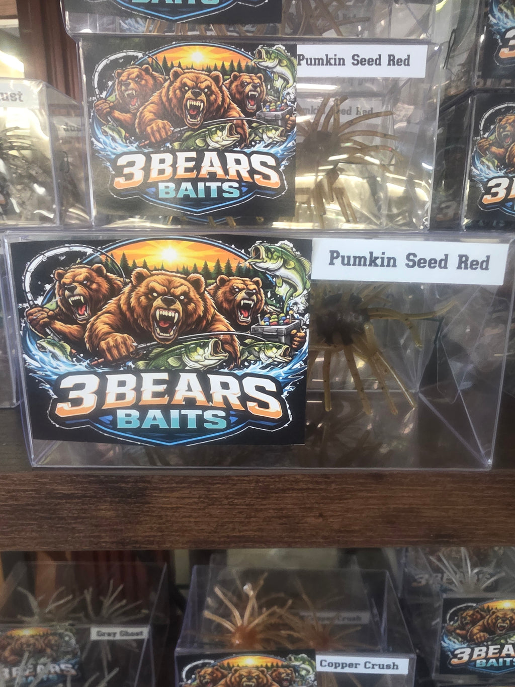 Pumpkin Seed Red Coike/uni 2pc