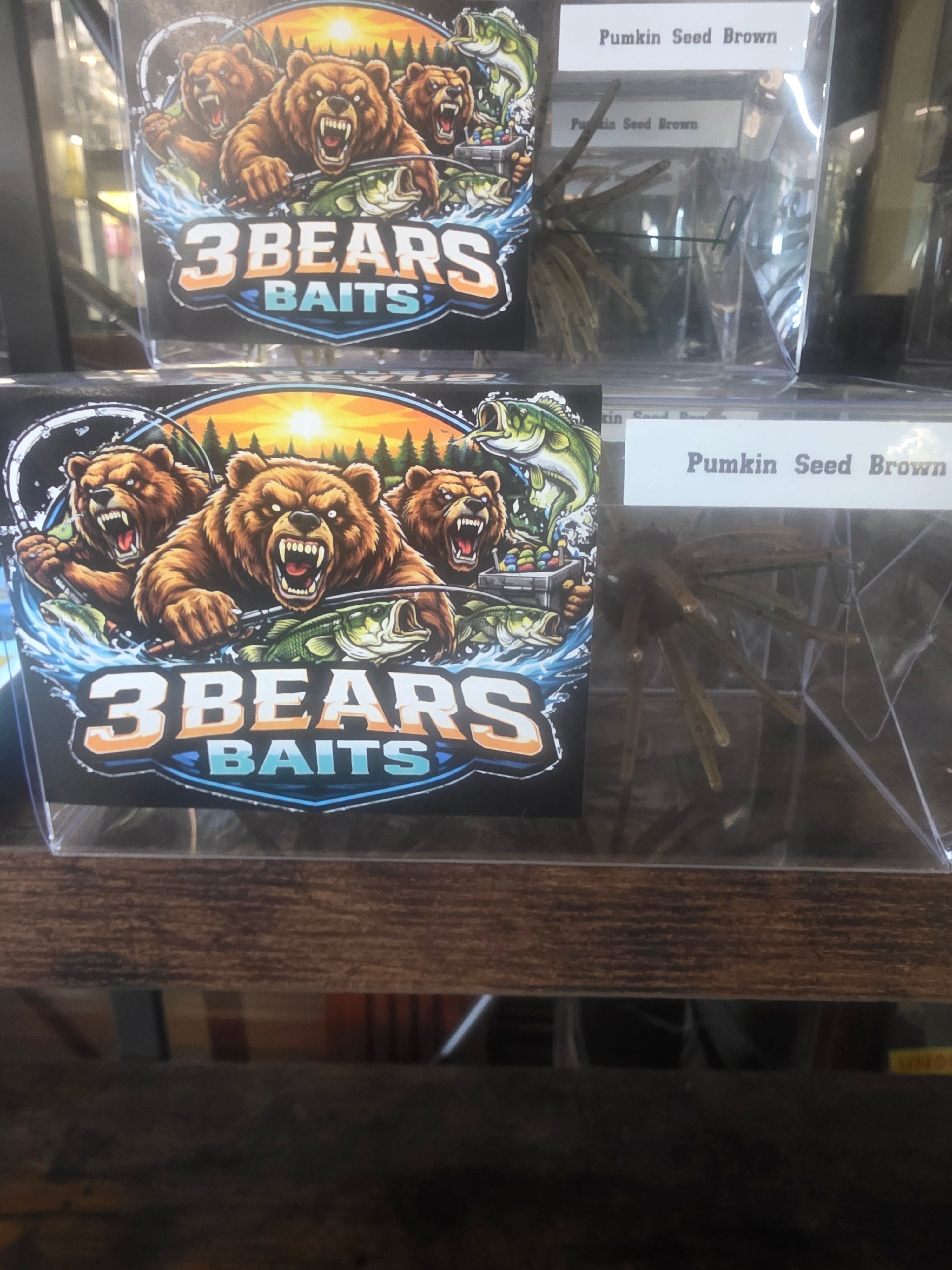 Pumpkin Seed Brown Coike/uni 2pc