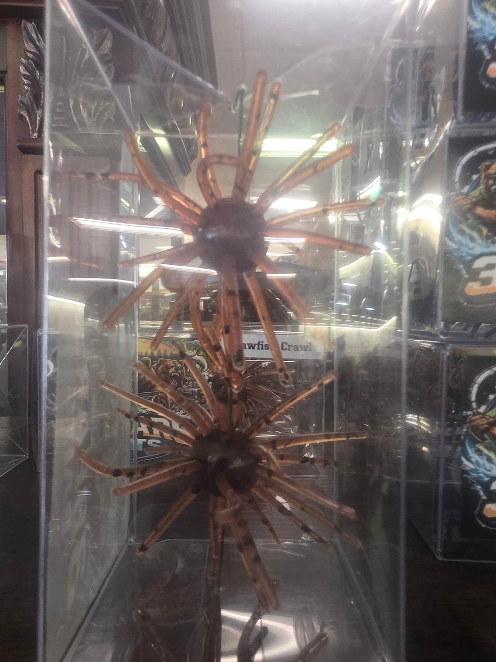 Crayfish Crawl Coike/uni 2pc