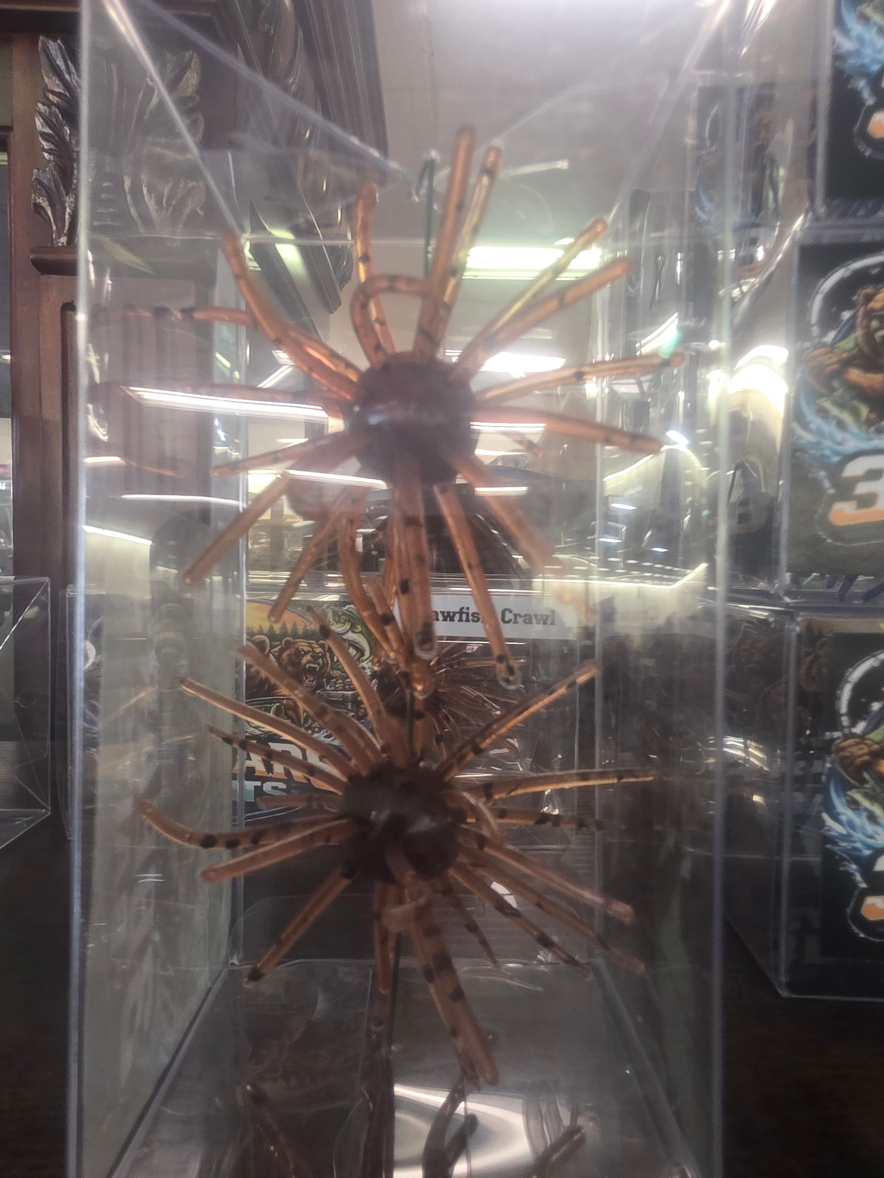 Crayfish Crawl Coike/uni 2pc